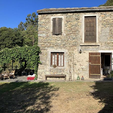 Maison De Charme Corse Sauvage Pietra-di-Verde Eksteriør billede