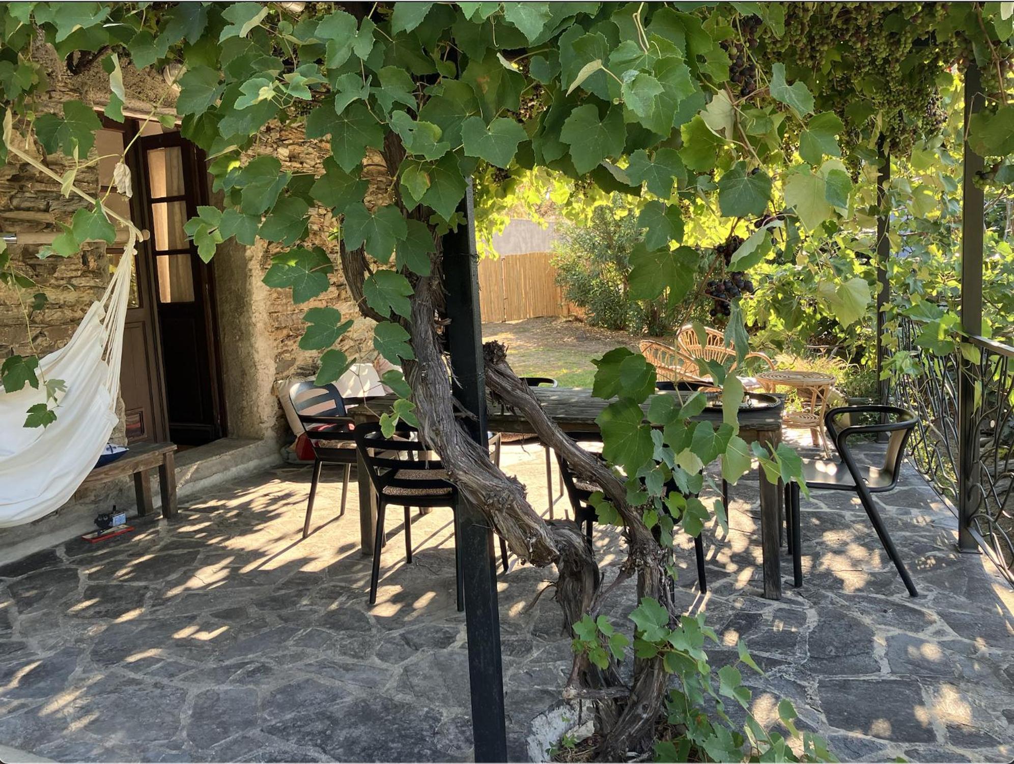 Maison De Charme Corse Sauvage Pietra-di-Verde Eksteriør billede