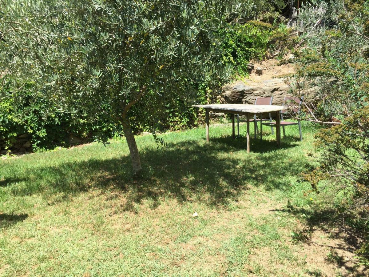 Maison De Charme Corse Sauvage Pietra-di-Verde Eksteriør billede